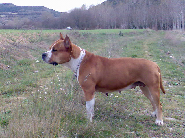 Ch.u'chanel du royaume de baccara